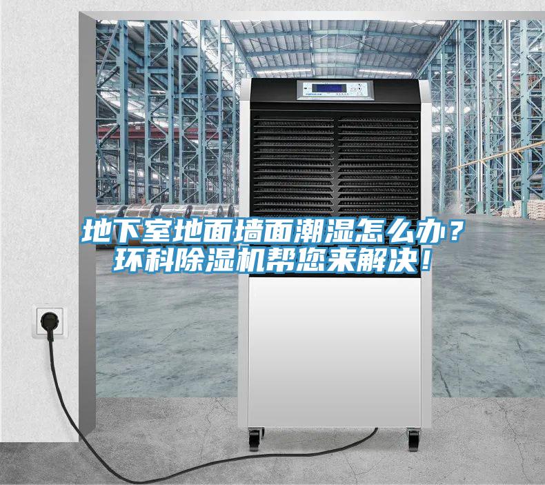 地下室地面墻面潮濕怎么辦？環(huán)科除濕機幫您來解決！