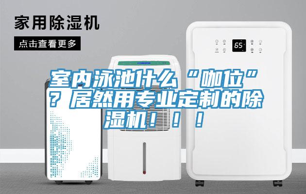 室內(nèi)泳池什么“咖位”？居然用專業(yè)定制的除濕機(jī)！??！