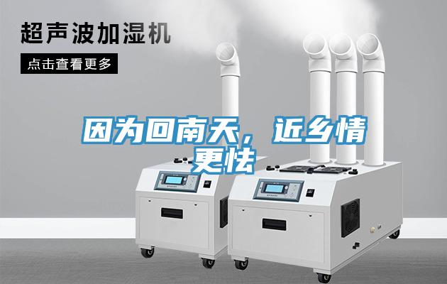 因為回南天，近鄉(xiāng)情更怯