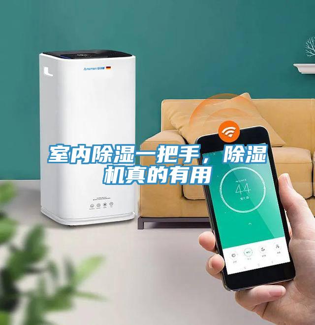 室內(nèi)除濕一把手，除濕機(jī)真的有用