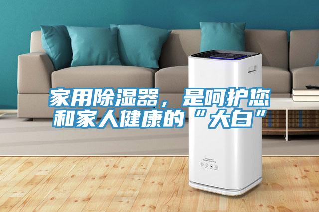 家用除濕器，是呵護您和家人健康的“大白”