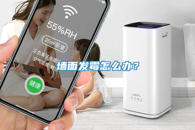 墻面發(fā)霉怎么辦？