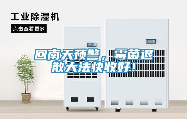 回南天預(yù)警，霉菌退散大法快收好！