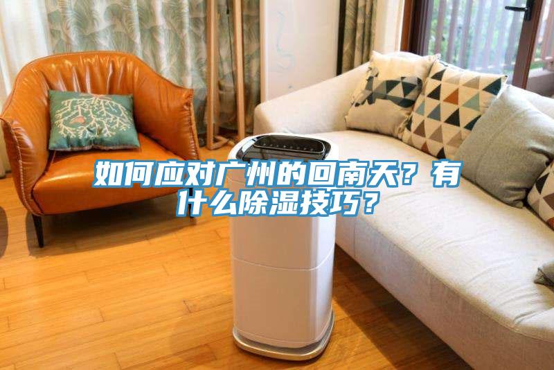 如何應(yīng)對廣州的回南天？有什么除濕技巧？