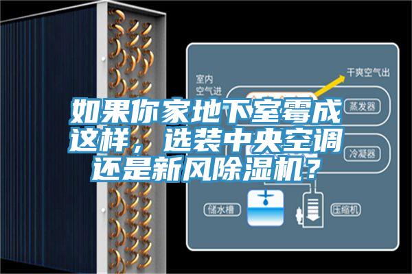 如果你家地下室霉成這樣，選裝中央空調(diào)還是新風(fēng)除濕機(jī)？