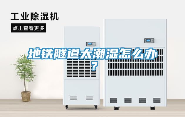地鐵隧道太潮濕怎么辦？