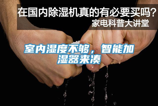 室內濕度不夠，智能加濕器來湊