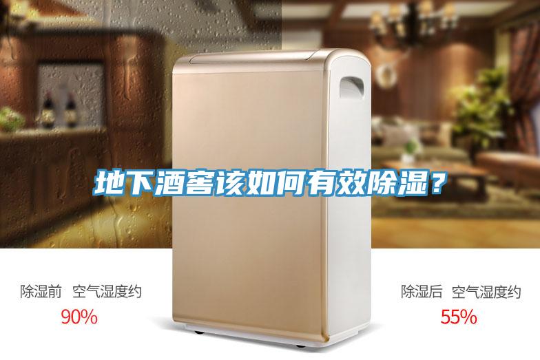 地下酒窖該如何有效除濕？