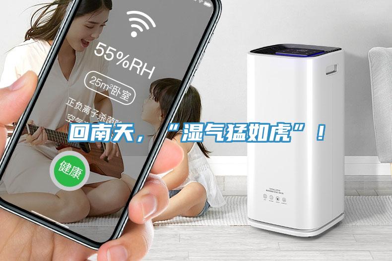 回南天，“濕氣猛如虎”！