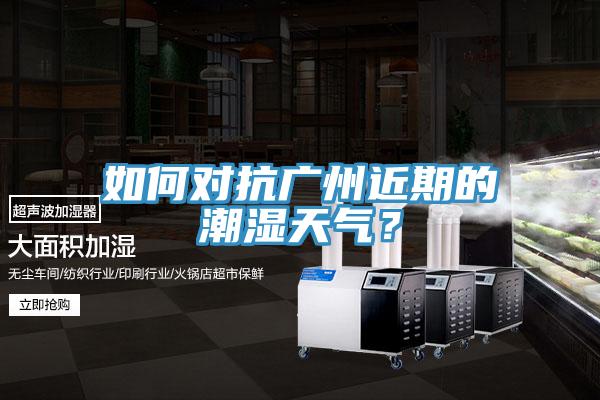 如何對抗廣州近期的潮濕天氣？