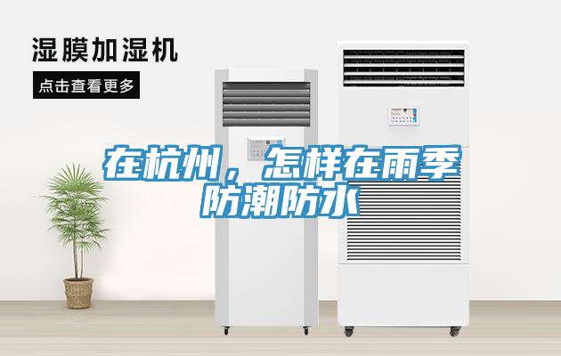 在杭州，怎樣在雨季防潮防水