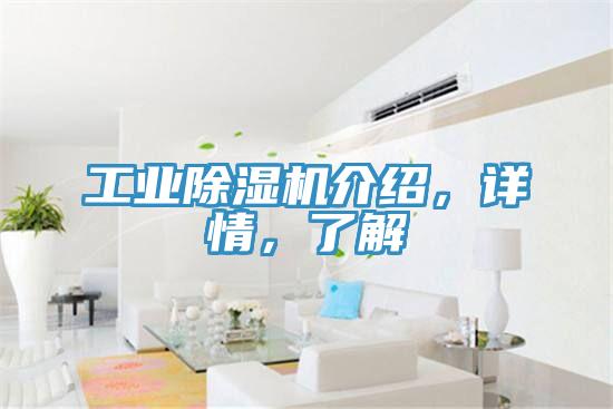 工業(yè)除濕機(jī)介紹，詳情，了解