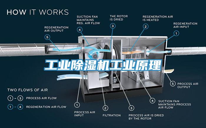 工業(yè)除濕機(jī)工業(yè)原理