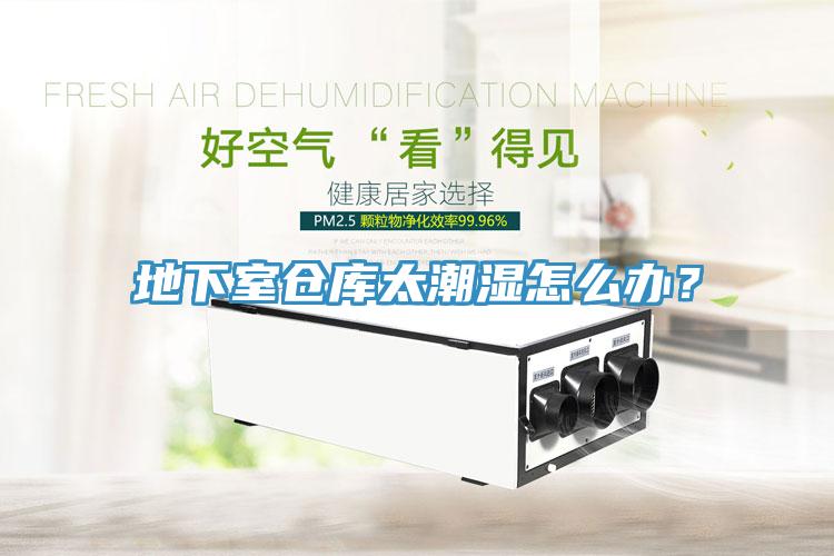 地下室倉(cāng)庫太潮濕怎么辦？