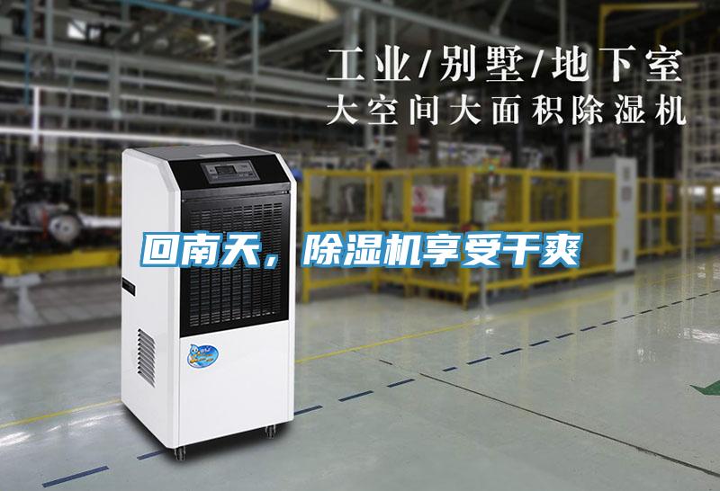 回南天，除濕機享受干爽