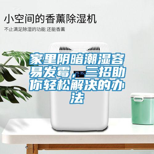 家里陰暗潮濕容易發(fā)霉，三招助你輕松解決的辦法