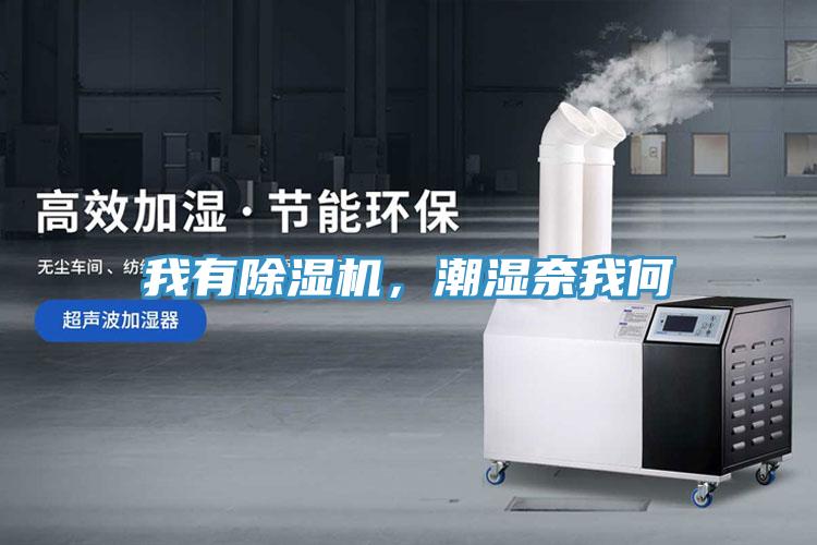 我有除濕機(jī)，潮濕奈我何