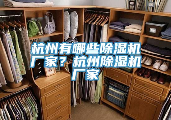 杭州有哪些除濕機廠家？杭州除濕機廠家