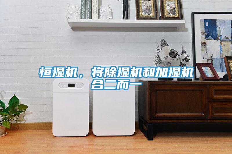 恒濕機(jī)，將除濕機(jī)和加濕機(jī)合二而一
