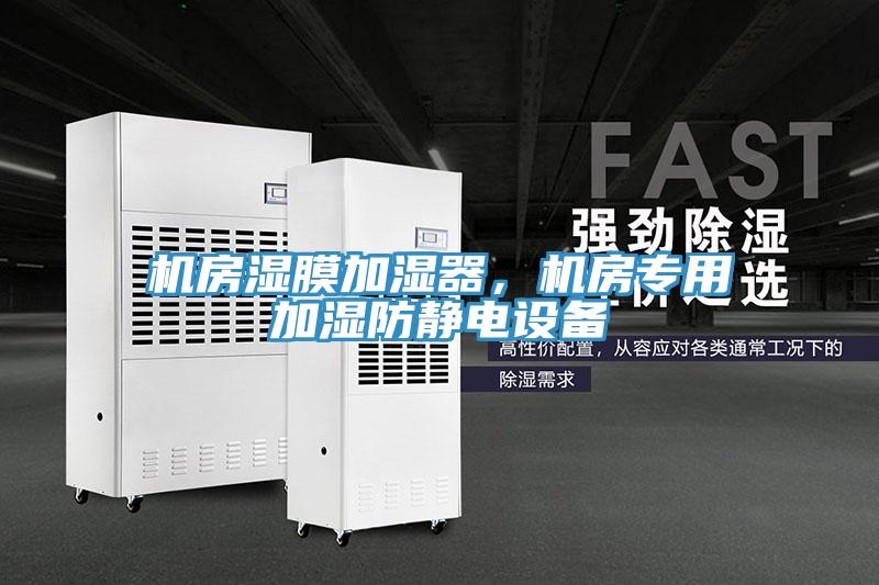 機(jī)房濕膜加濕器，機(jī)房專用加濕防靜電設(shè)備