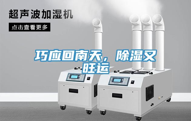 巧應(yīng)回南天，除濕又旺運