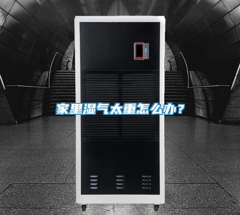 家里濕氣太重怎么辦？
