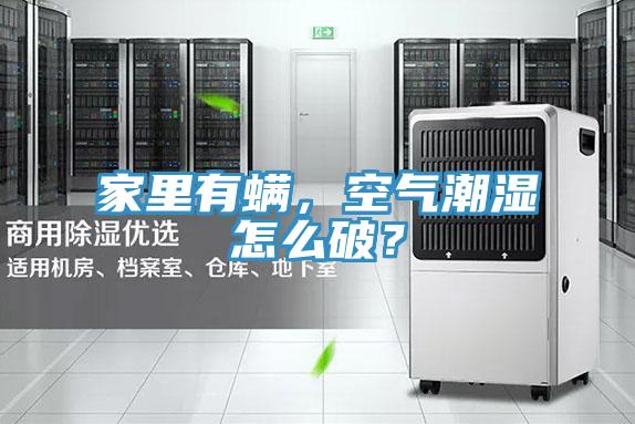 家里有螨，空氣潮濕怎么破？