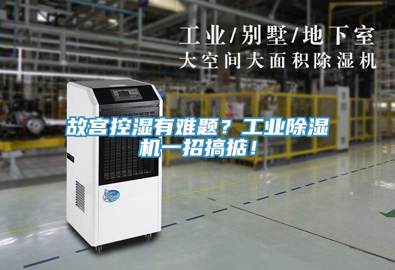 故宮控濕有難題？工業(yè)除濕機(jī)一招搞掂！