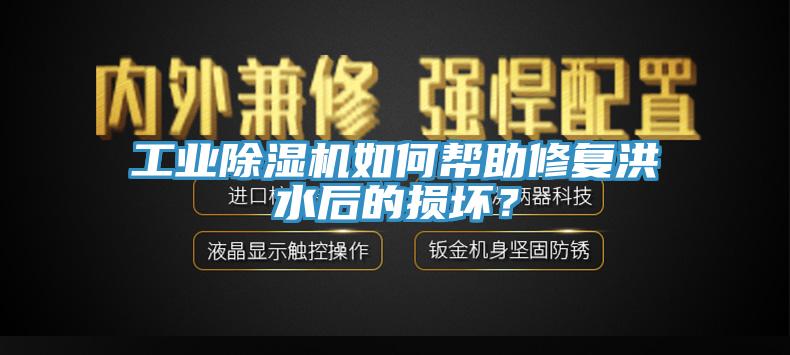 工業(yè)除濕機(jī)如何幫助修復(fù)洪水后的損壞？