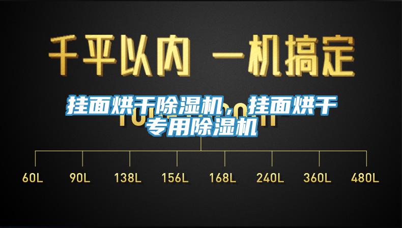 掛面烘干除濕機，掛面烘干專用除濕機