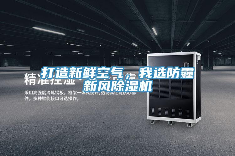 打造新鮮空氣，我選防霾新風(fēng)除濕機(jī)