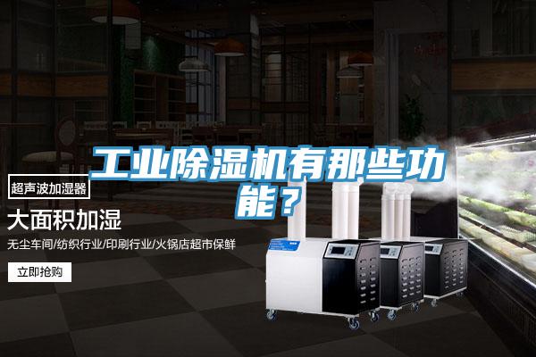 工業(yè)除濕機有那些功能？