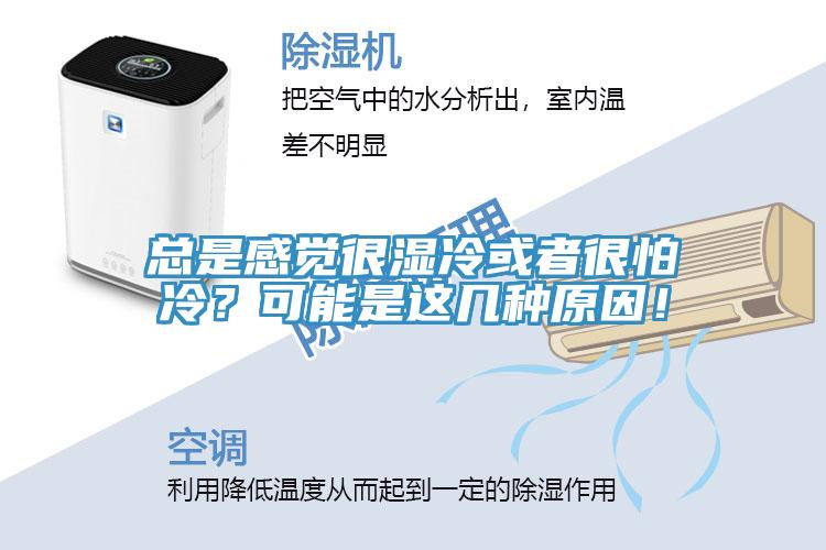 總是感覺很濕冷或者很怕冷？可能是這幾種原因！