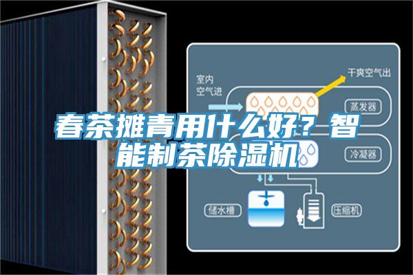 春茶攤青用什么好？智能制茶除濕機