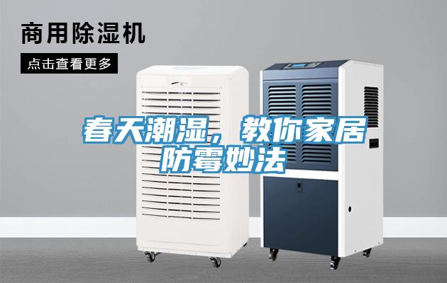 春天潮濕，教你家居防霉妙法