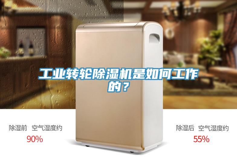 工業(yè)轉(zhuǎn)輪除濕機(jī)是如何工作的？