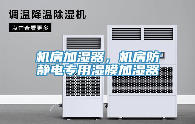 機(jī)房加濕器，機(jī)房防靜電專用濕膜加濕器