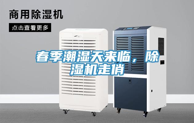 春季潮濕天來臨，除濕機(jī)走俏