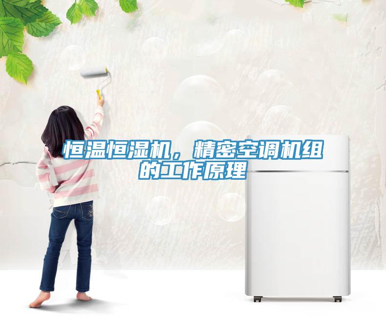 恒溫恒濕機(jī)，精密空調(diào)機(jī)組的工作原理