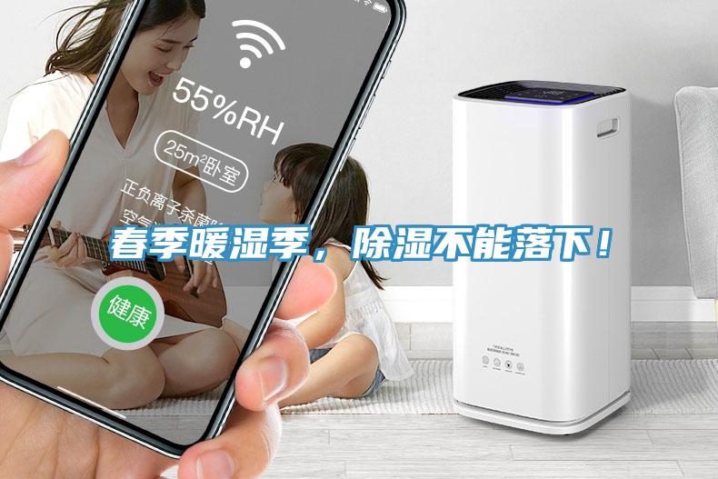 春季暖濕季，除濕不能落下！