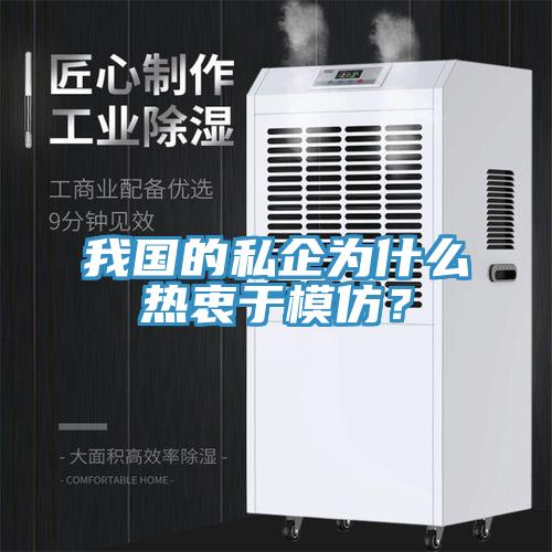 我國(guó)的私企為什么熱衷于模仿？