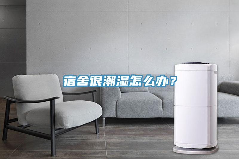 宿舍很潮濕怎么辦？