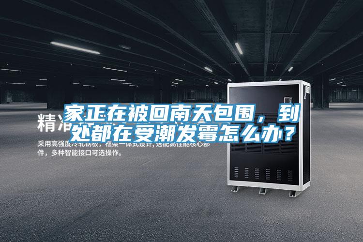 家正在被回南天包圍，到處都在受潮發(fā)霉怎么辦？