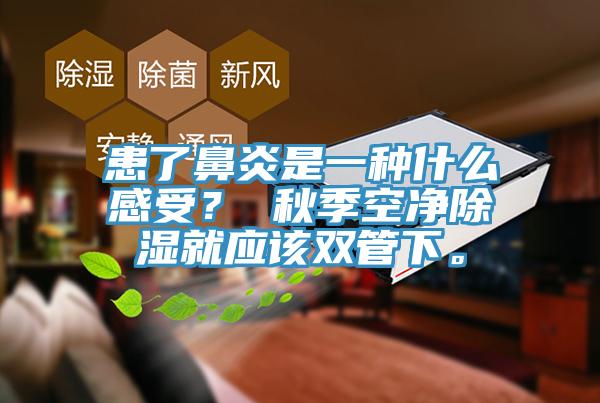 患了鼻炎是一種什么感受？ 秋季空凈除濕就應該雙管下。