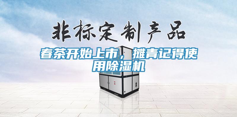 春茶開始上市，攤青記得使用除濕機