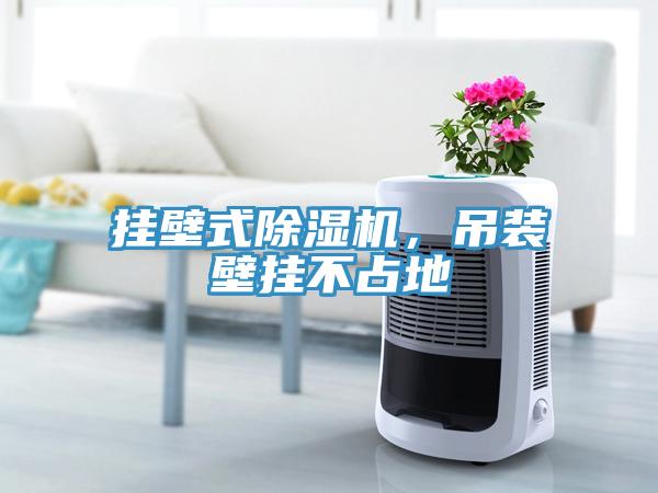 掛壁式除濕機，吊裝壁掛不占地