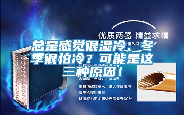 總是感覺很濕冷、冬季很怕冷？可能是這三種原因！