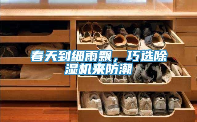 春天到細(xì)雨飄，巧選除濕機(jī)來防潮