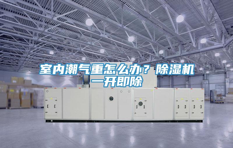 室內(nèi)潮氣重怎么辦？除濕機(jī)一開(kāi)即除