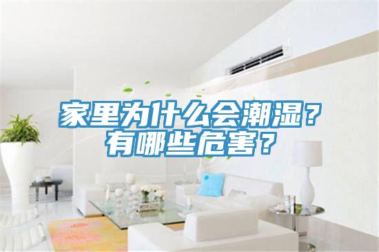 家里為什么會潮濕？有哪些危害？